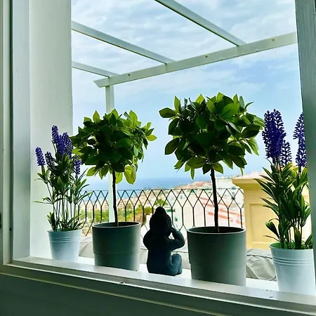 - Amazing Ocean And Teide View - Fast Wifi, Air Con アデヘ