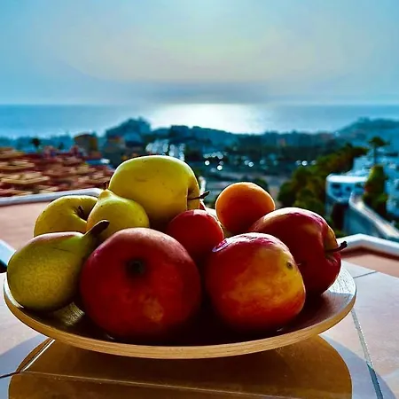 - Amazing Ocean And Teide View - Fast Wifi, Air Con 公寓